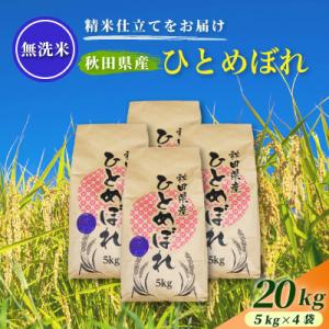 ふるさと納税 由利本荘市 【毎月定期便】【無洗米】通算5回特A 秋田県産ひとめぼれ 20kg(5kg×4袋)全2回