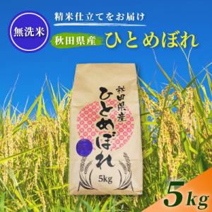 ふるさと納税 由利本荘市 【毎月定期便】【無洗米】通算5回特A 秋田県産ひとめぼれ 5kg(5kg×1袋)全5回