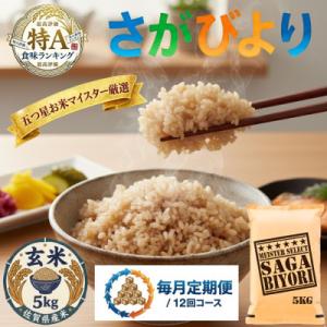 ふるさと納税 吉野ヶ里町 【毎月定期便】【玄米さがびより5kg】(吉野ヶ里町)全12回