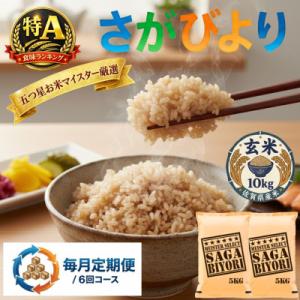 ふるさと納税 吉野ヶ里町 【毎月定期便】【玄米】さがびより10kg(5kg×2袋)(吉野ヶ里町)全6回