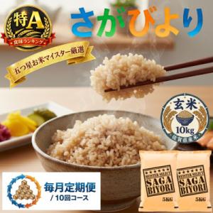 ふるさと納税 吉野ヶ里町 【毎月定期便】【玄米】さがびより10kg(5kg×2袋)(吉野ヶ里町)全10回