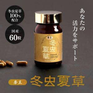 ふるさと納税 合志市 【毎月定期便】【峯王】冬虫夏草(12.3g(205mg×60粒))全12回