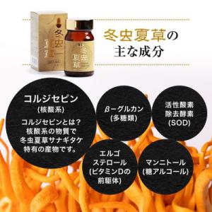 ふるさと納税 合志市 【毎月定期便】【峯王】冬...の詳細画像2