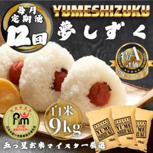 ふるさと納税 多久市 【毎月定期便】夢しずく白米9kg(3kg×3袋)(多久市)全12回