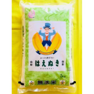 ふるさと納税 酒田市 【毎月定期便】無洗米はえぬき5kg全3回
