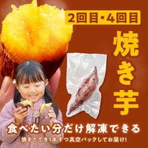ふるさと納税 泉佐野市 【毎月定期便】干し芋 ...の詳細画像2