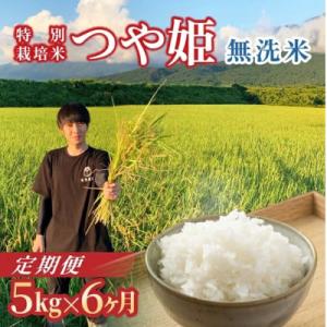 ふるさと納税 酒田市 【発送月固定定期便】《先行受付》無洗米　つや姫　5kg全6回