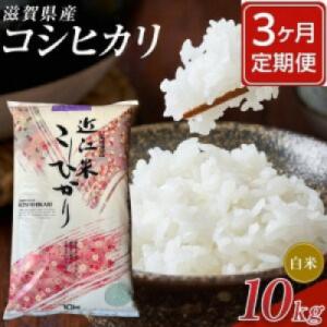 ふるさと納税 甲賀市 【毎月定期便】近江米コシヒカリ白米10kg全3回