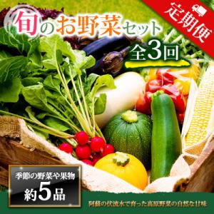 ふるさと納税 阿蘇市 【毎月定期便】季節のお野菜セットMサイズ 旬のお野菜を厳選してお届け全3回