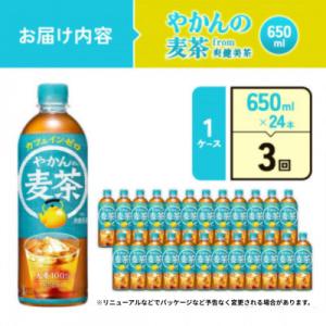 ふるさと納税 えびの市 【毎月定期便】やかんの...の詳細画像1