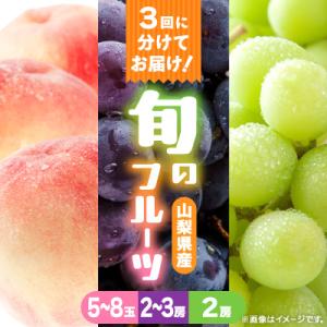 ふるさと納税 山梨市 【発送月固定定期便】桃2kg(5〜8玉)　黒ぶどう2房〜3房　シャインマスカット2房1kg以上全3回