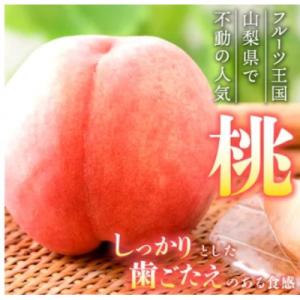 ふるさと納税 山梨市 【発送月固定定期便】桃2...の詳細画像1