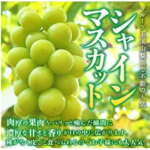 ふるさと納税 山梨市 【発送月固定定期便】桃2...の詳細画像3