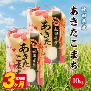 ふるさと納税 潟上市 【毎月定期便】秋田県産あきたこまち 白米 10kg(5kg×2袋)全3回
