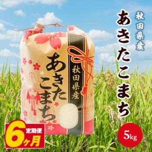 ふるさと納税 八郎潟町 【毎月定期便】あきたこまち 5kg【白米】 秋田県産全6回