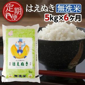 ふるさと納税 酒田市 【毎月定期便】無洗米はえぬき5kg全6回