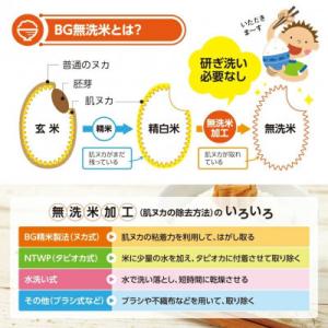 ふるさと納税 酒田市 【毎月定期便】特別栽培米...の詳細画像2
