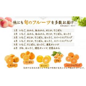 ふるさと納税 丸亀市 【毎月定期便】丸亀讃美果...の詳細画像1
