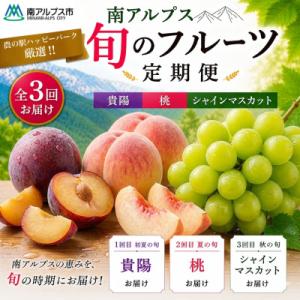 ふるさと納税 南アルプス市 【発送月固定定期便】農の駅厳選!南アルプス旬のフルーツ定期便(貴陽・桃・シャイン)全3回