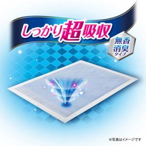 ふるさと納税 名張市 【毎月定期便】デオシート...の詳細画像2