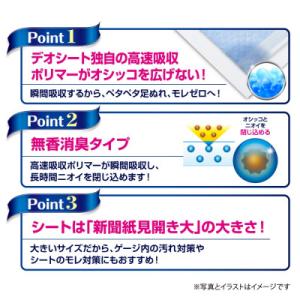 ふるさと納税 名張市 【毎月定期便】デオシート...の詳細画像2