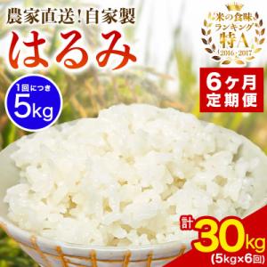 ふるさと納税 伊勢原市 【発送月固定定期便】11月中旬から出荷予定　合計30kg 精米 はるみ5kg全6回