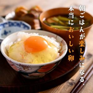 ふるさと納税 亀岡市 【毎月定期便】新鮮 卵 ...の詳細画像1