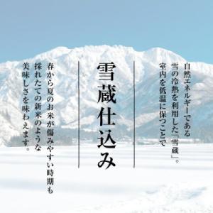 ふるさと納税 南魚沼市 【毎月定期便】南魚沼産...の詳細画像3