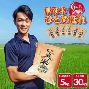 ふるさと納税 酒田市 【毎月定期便】ひとめぼれ 無洗米「いいあん米」5kg 山形県庄内産全6回