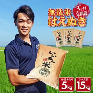 ふるさと納税 酒田市 【毎月定期便】はえぬき無洗米『いいあん米』5kg×3ヶ月連続 計15kg全3回