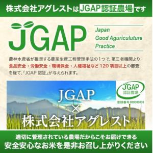ふるさと納税 酒田市 【毎月定期便】はえぬき無...の詳細画像1