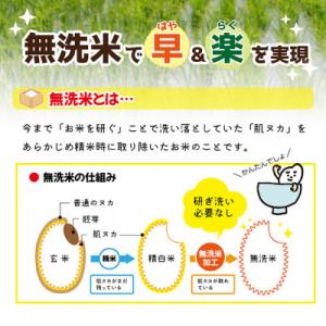 ふるさと納税 酒田市 【毎月定期便】はえぬき無...の詳細画像2