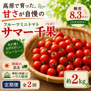 ふるさと納税 茅野市 【毎月定期便】蓼科野菜　八ヶ岳産高原育ちのフルーツミニトマト 約2kg 全2回