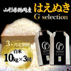 ふるさと納税 鶴岡市 【発送月固定定期便】[10月より発送予定]山形県産 はえぬき Gセレクション 白米 10kg全3回