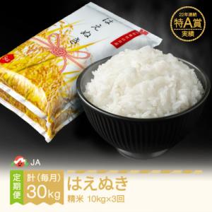 ふるさと納税 村山市 【毎月定期便】はえぬき　精米(10kg)全3回