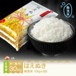 ふるさと納税 村山市 【毎月定期便】はえぬき　無洗米(10kg)全3回