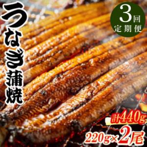 ふるさと納税 広川町 【毎月定期便】中国産うなぎ蒲焼 計440g(220g×2尾)全3回
