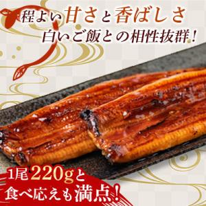 ふるさと納税 広川町 【毎月定期便】中国産うな...の詳細画像1