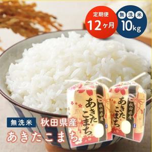ふるさと納税 潟上市 【毎月定期便】秋田県産あきたこまち 無洗米 10kg(5kg×2袋)全12回