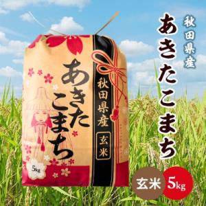 ふるさと納税 潟上市 【毎月定期便】秋田県産あきたこまち 5kg(玄米)全3回