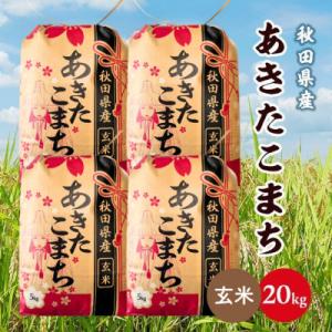 ふるさと納税 潟上市 【毎月定期便】秋田県産あきたこまち 20kg(5kg×4袋)(玄米)全3回