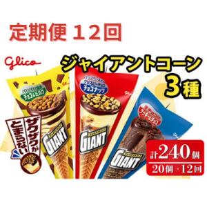 ふるさと納税 常陸大宮市 【毎月定期便】ジャイアントコーン 3種 計20個入り グリコ アイス 詰め合わせセット全12回