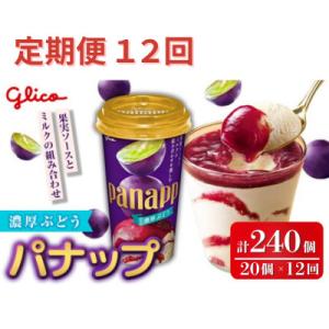 ふるさと納税 常陸大宮市 【毎月定期便】パナップ 濃厚ぶどう 20個入り グリコ アイス全12回