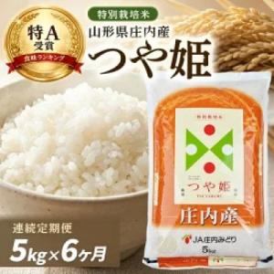 ふるさと納税 酒田市 【毎月定期便】特別栽培米 つや姫【精米】5kg全6回