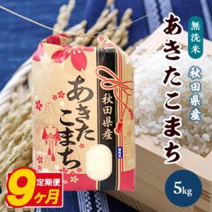 ふるさと納税 八郎潟町 【毎月定期便】あきたこまち 5kg【精米・無洗米】 秋田県産全9回