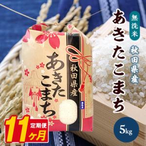 ふるさと納税 八郎潟町 【毎月定期便】あきたこまち 5kg【精米・無洗米】 秋田県産全11回