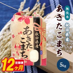 ふるさと納税 八郎潟町 【毎月定期便】あきたこまち 5kg【精米・無洗米】 秋田県産全12回