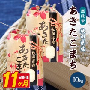 ふるさと納税 八郎潟町 【毎月定期便】あきたこまち 10kg(5kg×2袋)【精米・無洗米】 秋田県産全11回