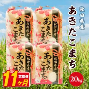 ふるさと納税 八郎潟町 【毎月定期便】あきたこまち 20kg(5kg×4袋)【白米】 秋田県産全11回