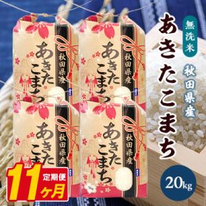 ふるさと納税 八郎潟町 【毎月定期便】あきたこまち 20kg(5kg×4袋)【精米・無洗米】 秋田県産全11回